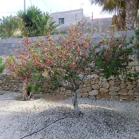 度假居 Casa Coryzon Arico Viejo